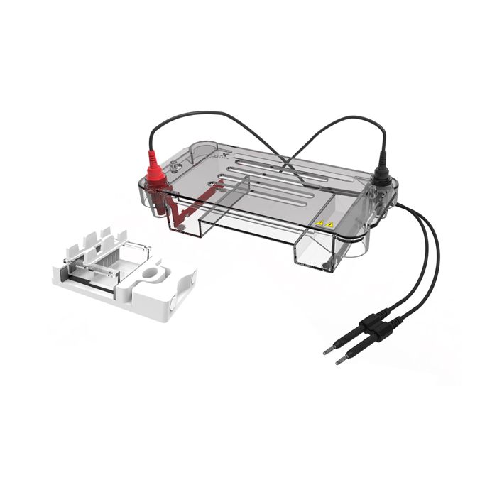 https://labbox.es/wp-content/uploads/2026/02/ELFH-300-001.jpg
