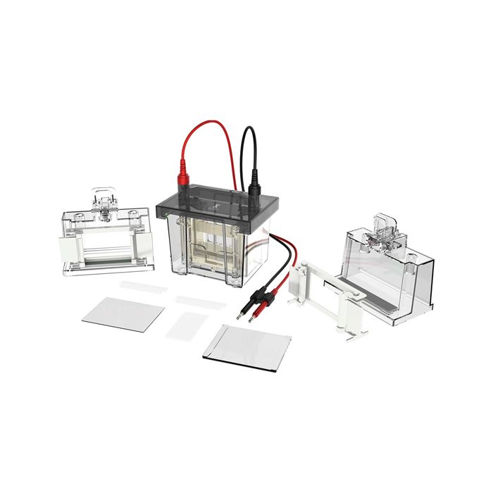https://labbox.es/wp-content/uploads/2026/02/ELFV-V80-001.jpg