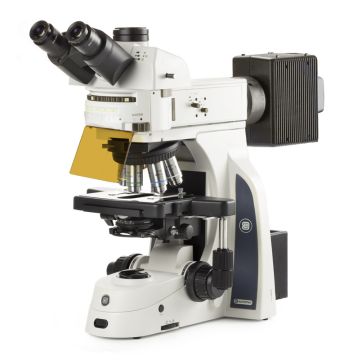Microscopio Trinocular  DX.3153-PLi/HAL