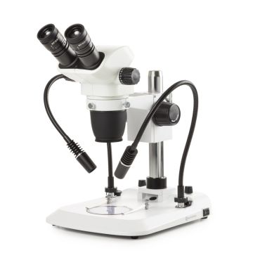 NexiusZoom EVO Binocular Stereo Microscope Euromex 45° Binocular Head Column Stand PG Illumination