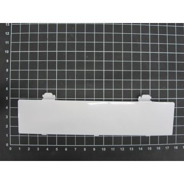 Tapa del compartimento de las pilas
